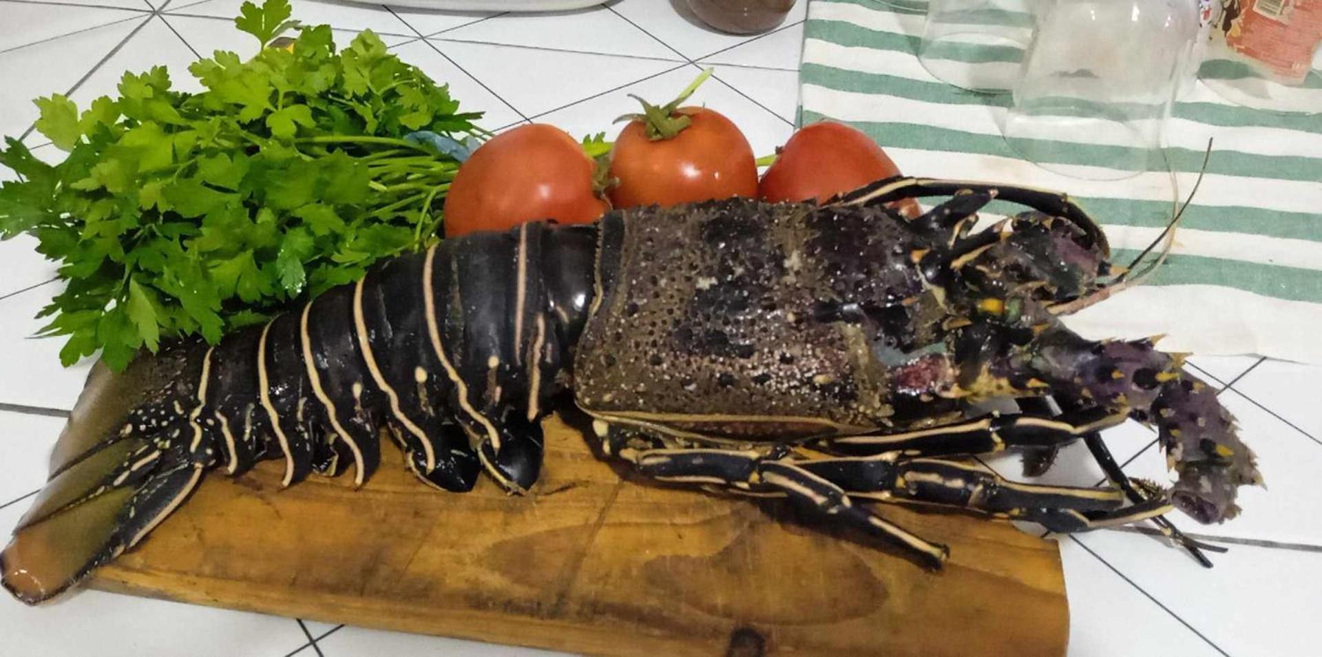 Kaza Papaya - Papaya House Lägenhet Tarrafal  Exteriör bild